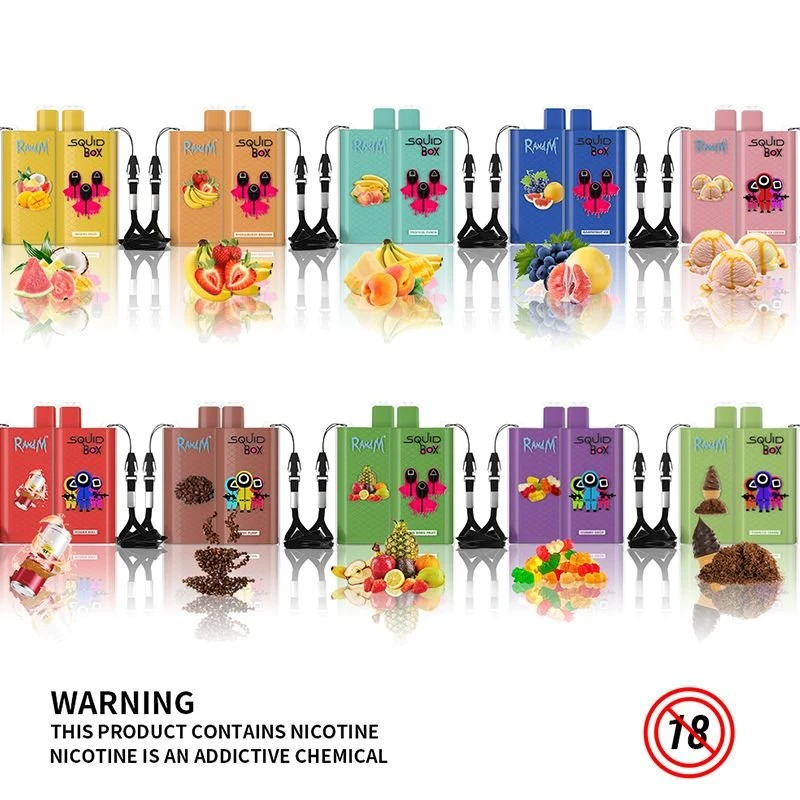 product-800-800 RandM SQUID BOX disposable vape