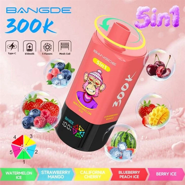 BANG DE 300K manufacturers