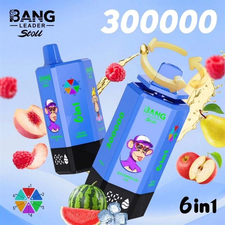 Bang Leader 300000 suppliers