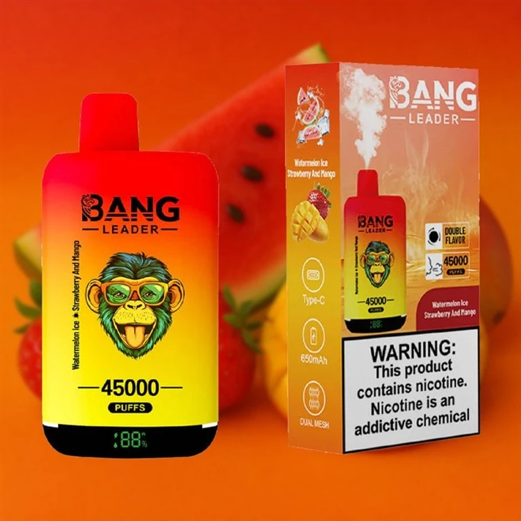 Bang Leader 45000 suppliers Bang Leader 45000 suppliers
