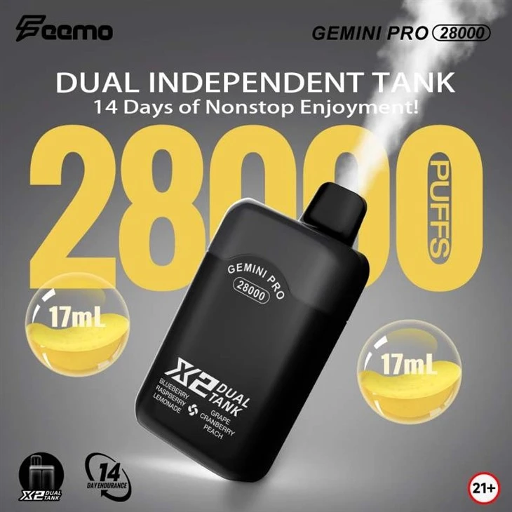 Feemo GEMINI PRO 28000 1 Feemo GEMINI PRO 28000 1