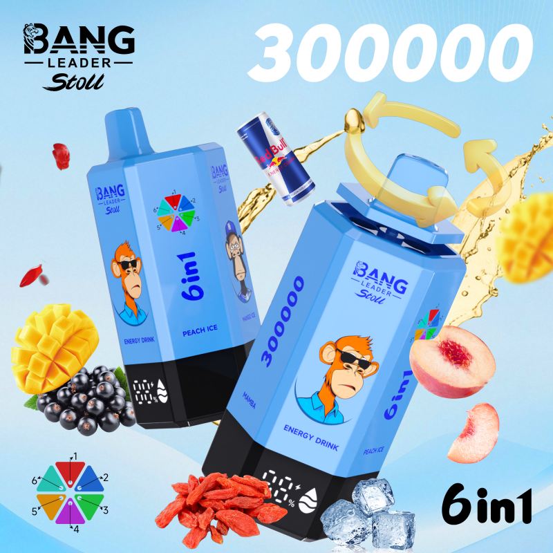 bang leader 300000 16 bang leader 300000 16