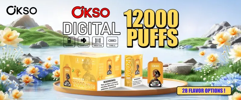OKSO Digital box 12K 62 OKSO Digital box 12K 62