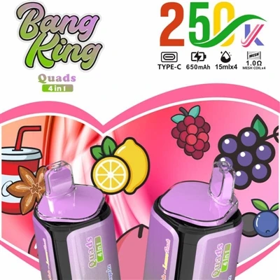 BANG KING Quads 4IN1 250000: A Brand New Experience in Premium Disposable E-c...