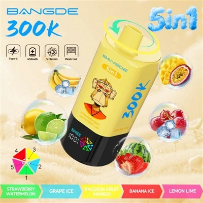 BANG DE 300K 5IN1: One Device, Five Benefits, 300,000 Ports For An Extended E...
