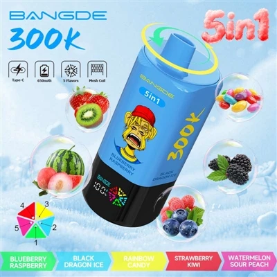 BANG DE 300000 5IN1: One Device, Multiple Experiences, Enjoy 300,000 Mouthful...