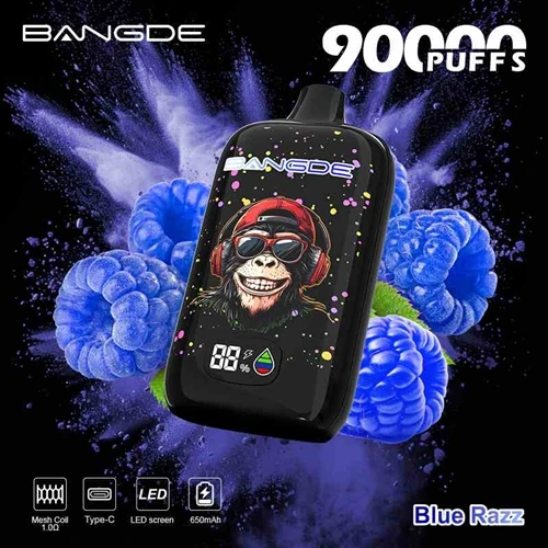 Analysis Of BANG DE 90000 Product Structure And Functional Parameters