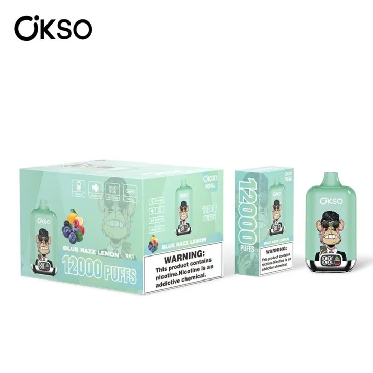 OKSO Digital Box 12000 factory