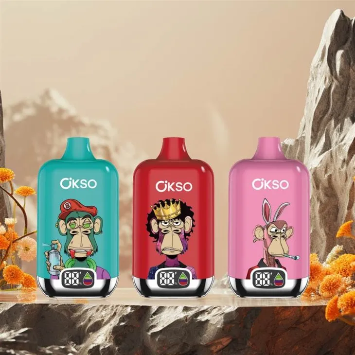 OKSO Digital Box 12000