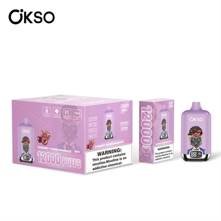 OKSO Digital Box 12000 factory