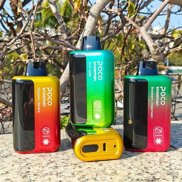 POCO SNOWMAN 70000 PUFFS POCO SNOWMAN 70000 PUFFS