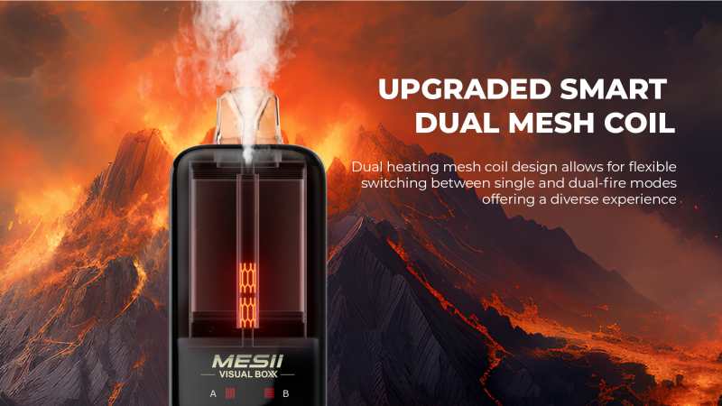 MESII VISUAL BOX 16000 116 MESII VISUAL BOX 16000 116