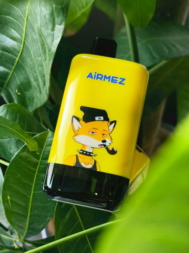 Airmez 2in1 pro 80000 13
