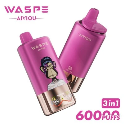 WASPE AIVIOU 60000 3 in 1 Flavor