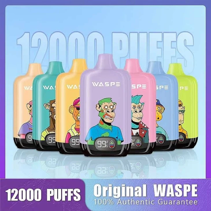 WASPE Digital Box 12000 11 WASPE Digital Box 12000 11