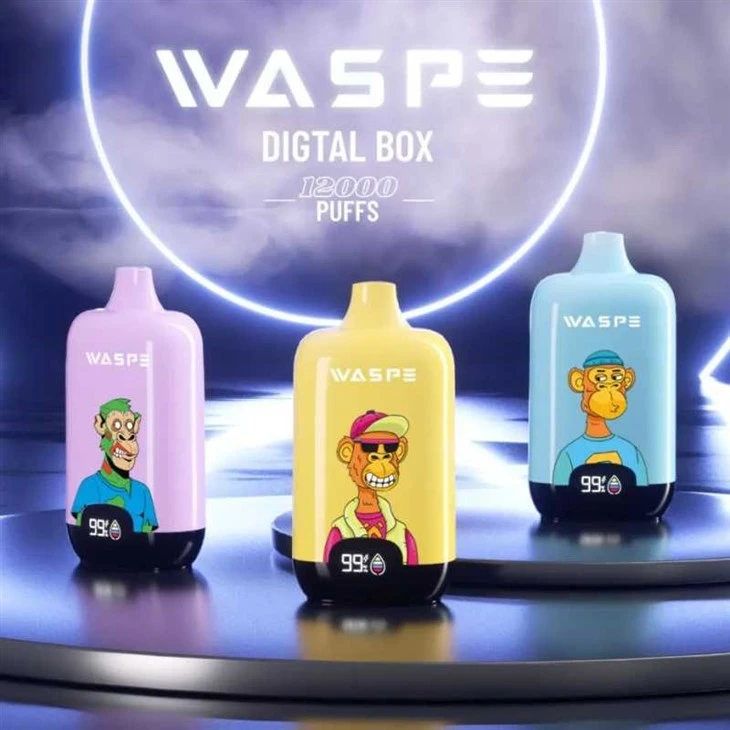 WASPE Digital Box 12000 WASPE Digital Box 12000